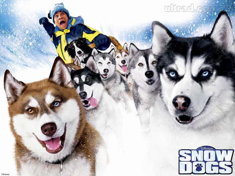 personagens dentistas em filmes - neve pra cachorro