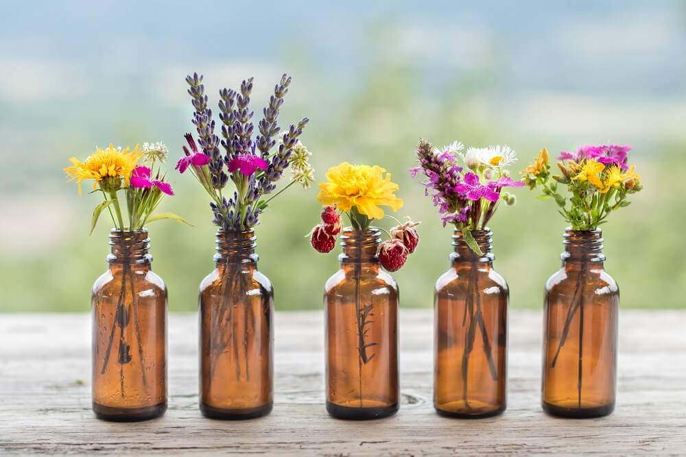 Homeopatia na odontologia