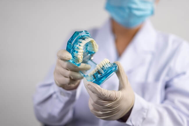 Manequim odontológico