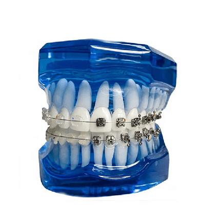 Manequim odontológico didático