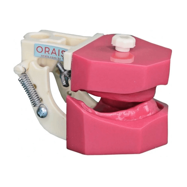 Manequim odontológico de prótese