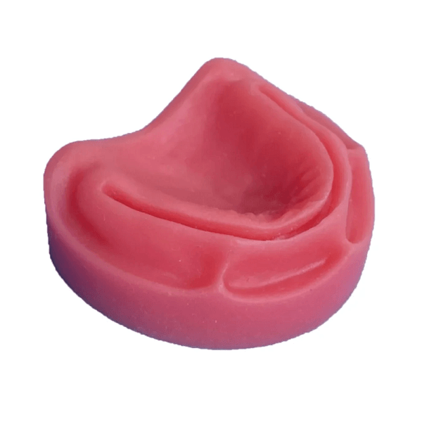 Manequim odontológico para treino de sutura