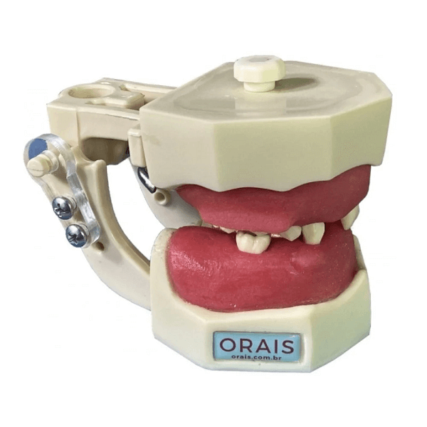 Manequim odontológico para técnicas cirúrgicas menores