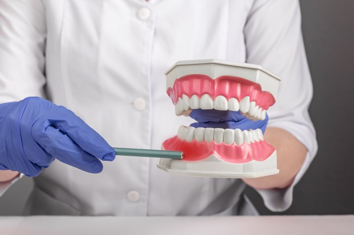 Dentista mostra pulpite em manequim odontológico.